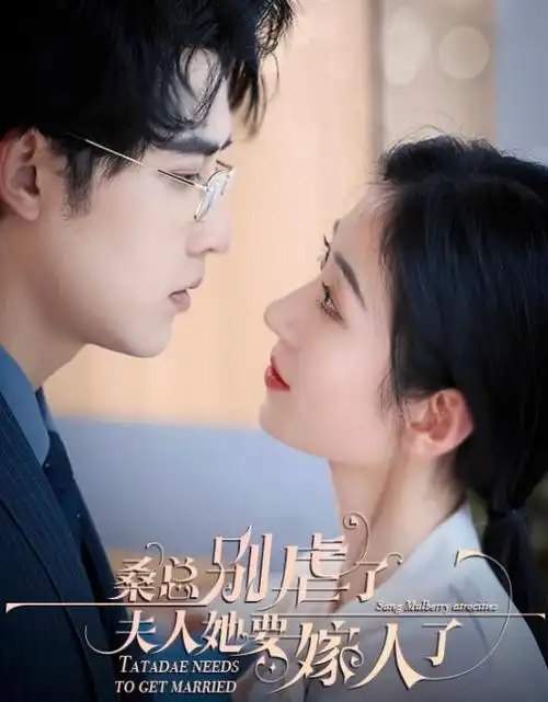年代谍战电视剧长夜将明剧照